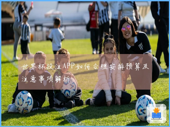 世界杯投注APP如何合理安排预算及注意事项解析