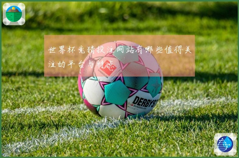 世界杯竞猜投注网站有哪些值得关注的平台与特点
