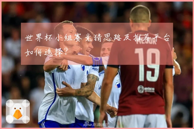 世界杯小组赛竞猜思路及推荐平台如何选择？