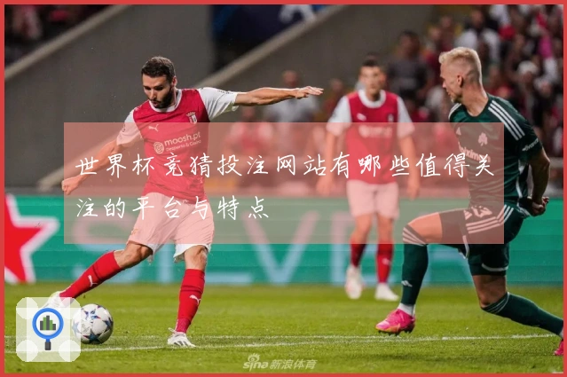 世界杯竞猜投注网站有哪些值得关注的平台与特点