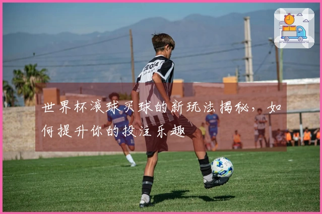 世界杯滚球买球的新玩法揭秘，如何提升你的投注乐趣