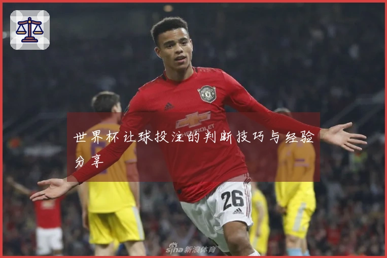 世界杯让球投注的判断技巧与经验分享