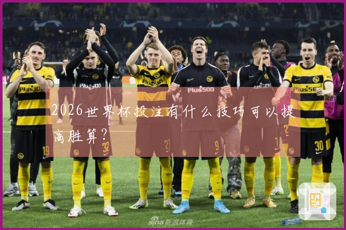 2026世界杯投注有什么技巧可以提高胜算？