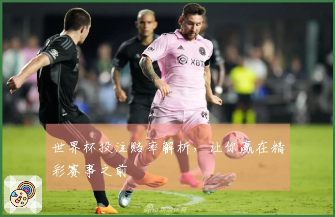 世界杯投注赔率解析，让你赢在精彩赛事之前