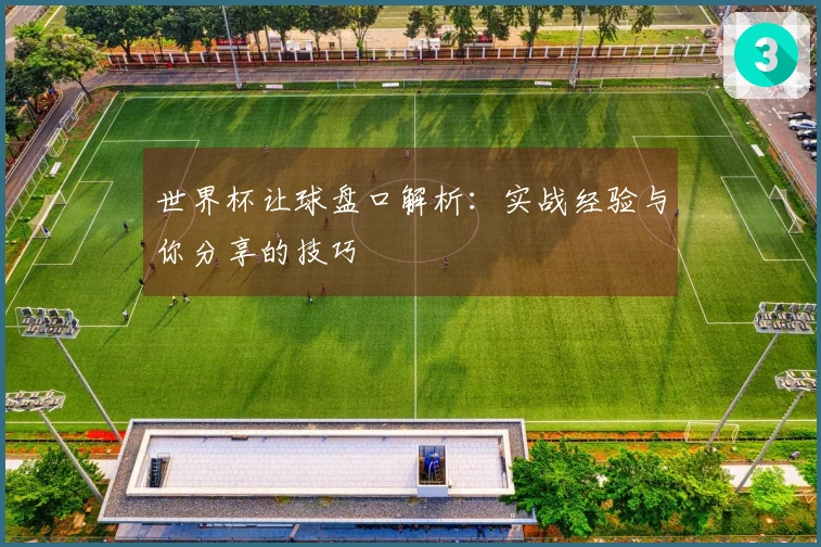世界杯让球盘口解析：实战经验与你分享的技巧