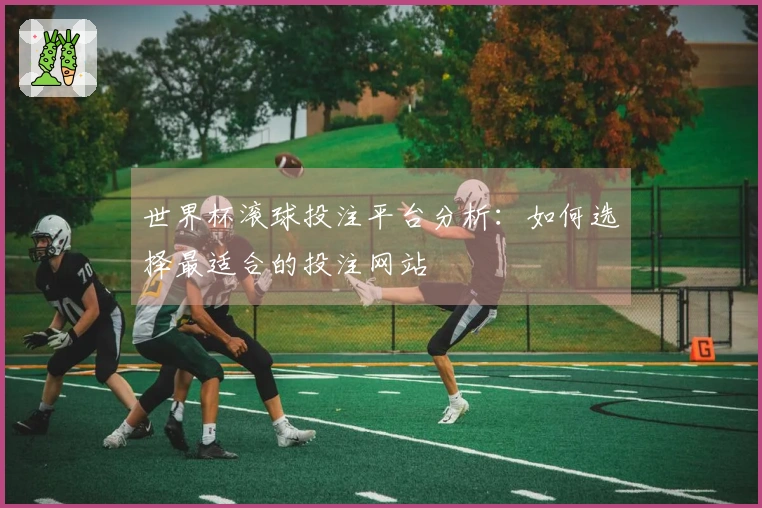 世界杯滚球投注平台分析：如何选择最适合的投注网站