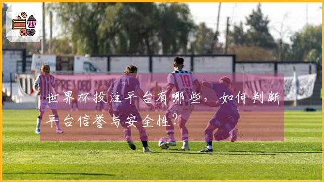 世界杯投注平台有哪些，如何判断平台信誉与安全性？