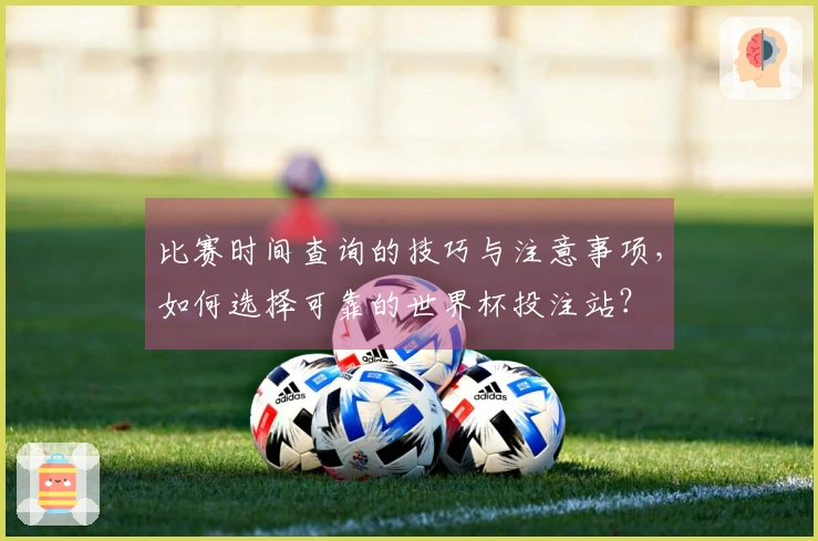 比赛时间查询的技巧与注意事项，如何选择可靠的世界杯投注站？
