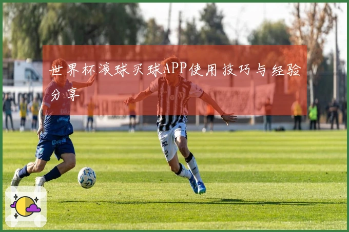 世界杯滚球买球APP使用技巧与经验分享