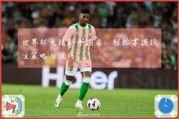 世界杯竞猜新手指南，轻松掌握投注策略与技巧