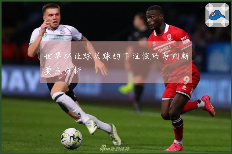 世界杯让球买球的下注技巧与判断要点分析