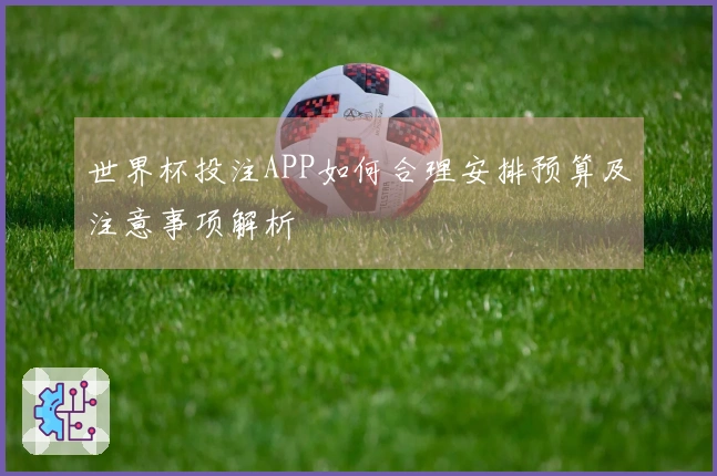 世界杯投注APP如何合理安排预算及注意事项解析