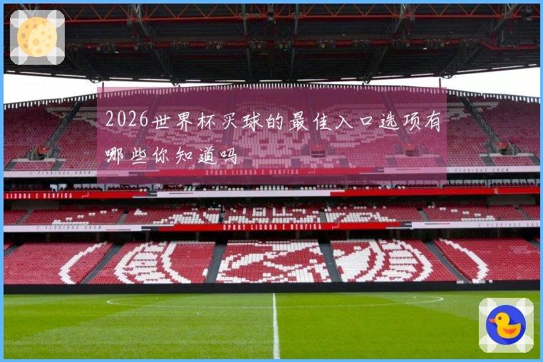2026世界杯买球的最佳入口选项有哪些你知道吗