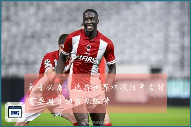 新手必看：选择世界杯投注平台时需要避开的常见陷阱