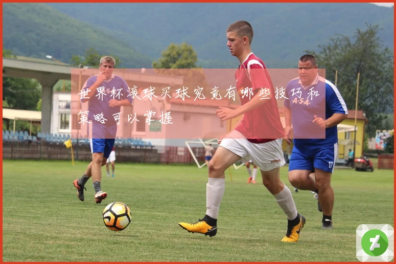 世界杯滚球买球究竟有哪些技巧和策略可以掌握