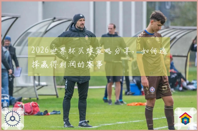 2026世界杯买球策略分享，如何选择赢得利润的赛事