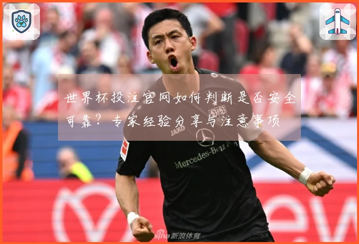 世界杯投注官网如何判断是否安全可靠？专家经验分享与注意事项