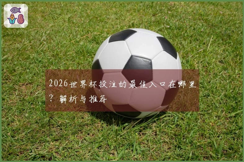 2026世界杯投注的最佳入口在哪里？解析与推荐