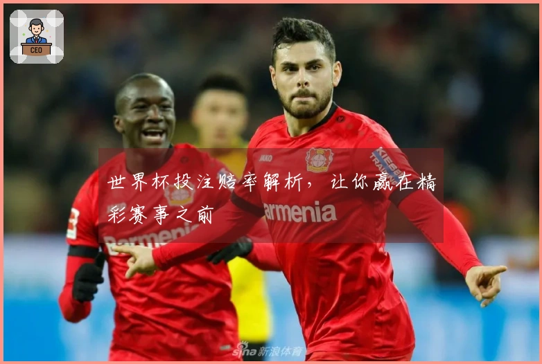 世界杯投注赔率解析，让你赢在精彩赛事之前