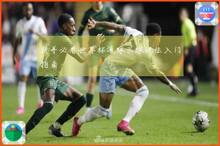 新手必看世界杯滚球买球玩法入门指南