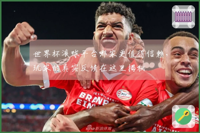 世界杯滚球平台哪家更值得信赖，玩家的真实反馈在这里揭秘