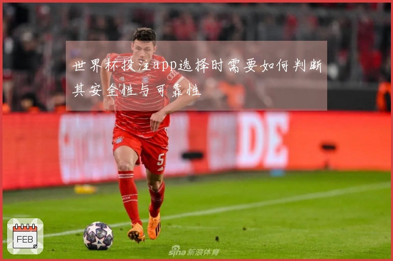 世界杯投注app选择时需要如何判断其安全性与可靠性