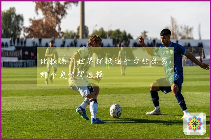 比较热门世界杯投注平台的优劣，哪个更值得选择