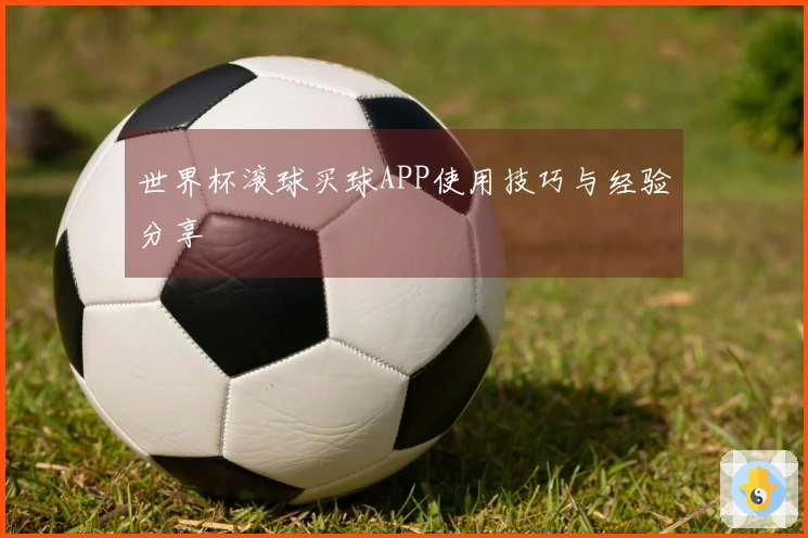 世界杯滚球买球APP使用技巧与经验分享