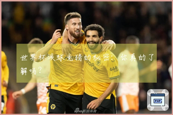 世界杯滚球竞猜的秘密：你真的了解吗？
