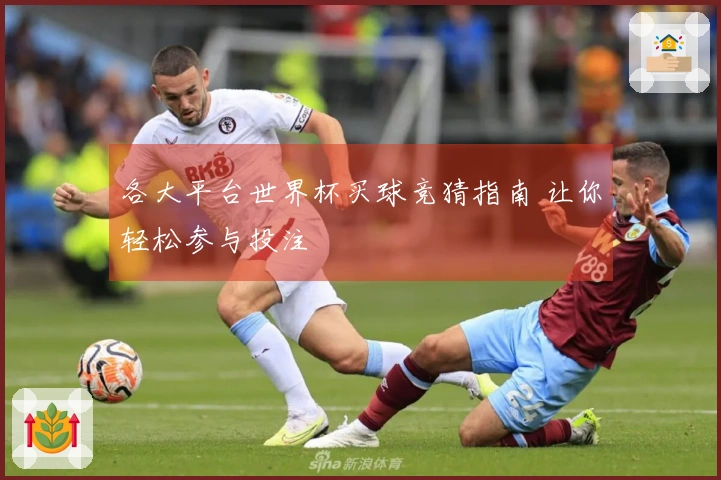 各大平台世界杯买球竞猜指南 让你轻松参与投注