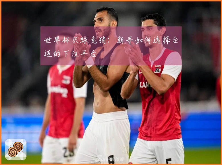 世界杯买球竞猜：新手如何选择合适的下注平台