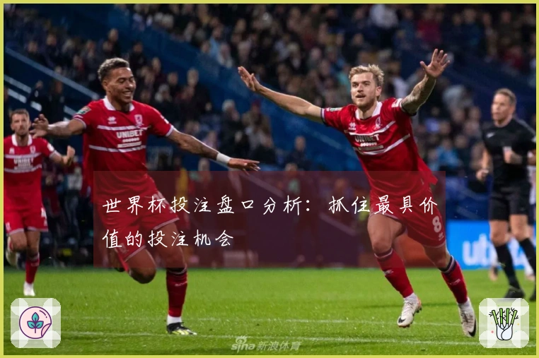 世界杯投注盘口分析：抓住最具价值的投注机会