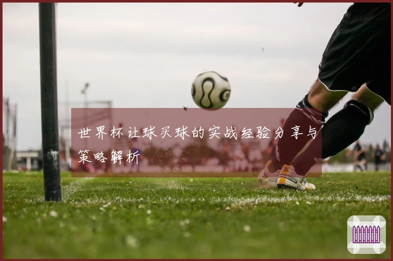 世界杯让球买球的实战经验分享与策略解析