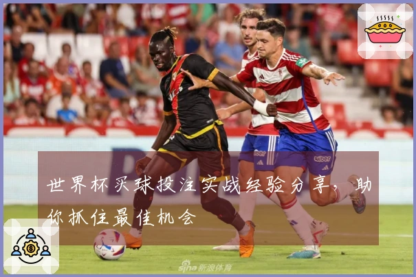 世界杯买球投注实战经验分享，助你抓住最佳机会