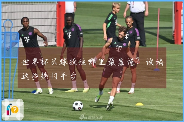 世界杯买球投注哪里最靠谱？试试这些热门平台