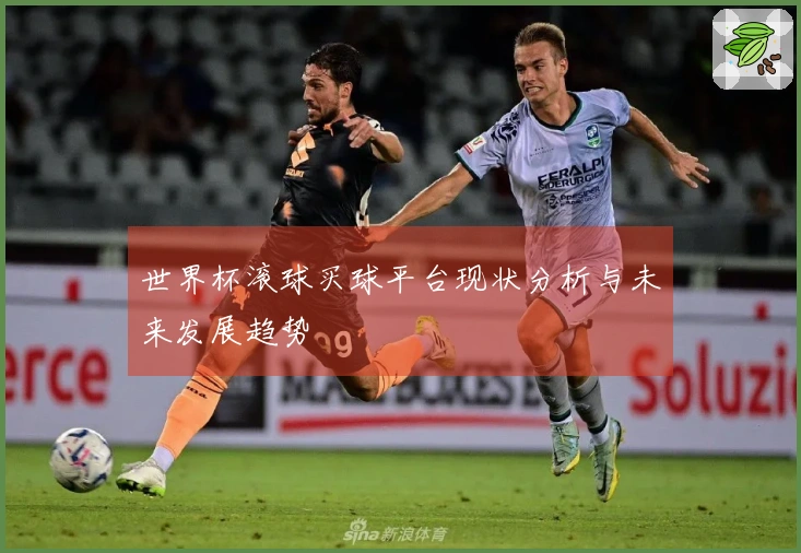 世界杯滚球买球平台现状分析与未来发展趋势