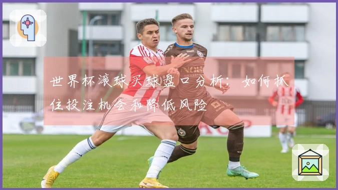 世界杯滚球买球盘口分析：如何抓住投注机会和降低风险